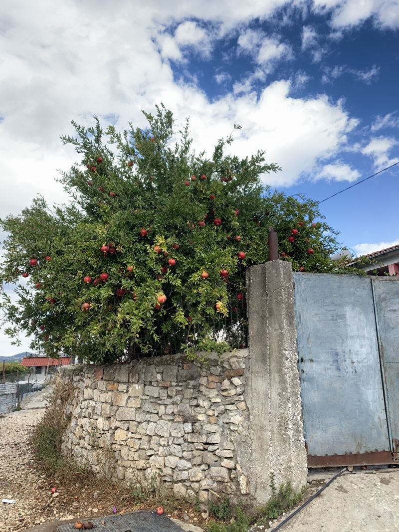 God Showing His Abundance